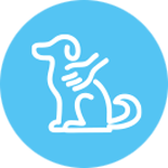 Canine Massage Therapy Icon